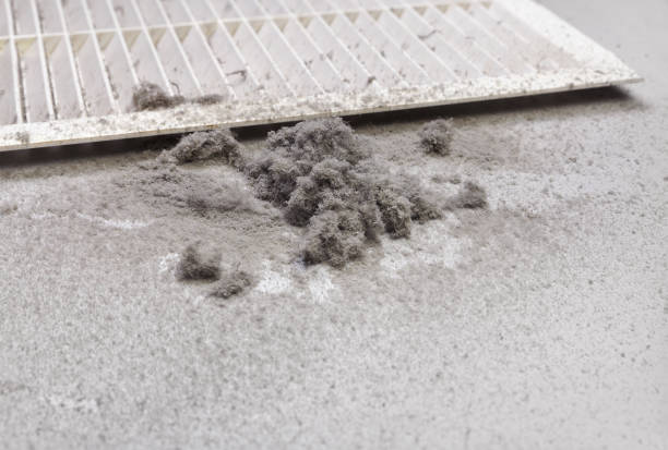 Best Professional Duct Cleaning Services  in Hahira, GA