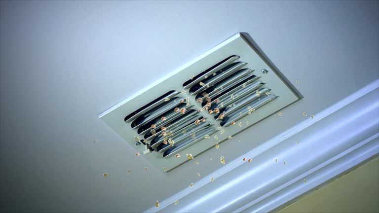 Best Residential Air Duct Cleaning  in Hahira, GA